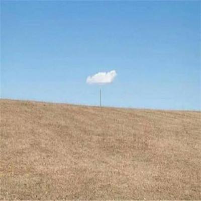 开云体云app下载手机版